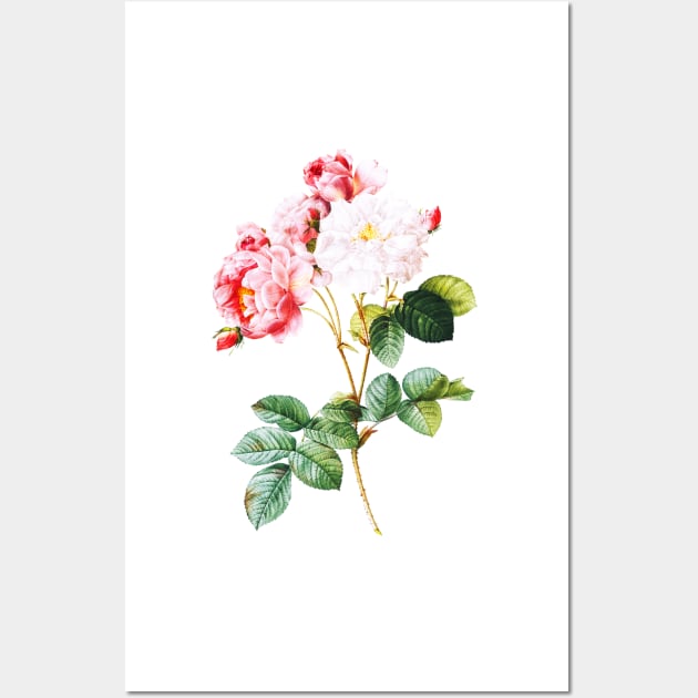 Vintage Red Roses Flower Illustration Wall Art by bigraydesigns